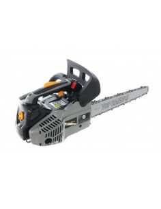 MOTOSEGA ALPINA APR 25 C-CARVING