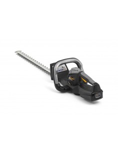 TAGLIASIEPI BATTERIA ALPINA AHT 20