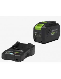 TAGLIASIEPI BATTERIA 48V GREENWORKS KIT G48HTK2 2