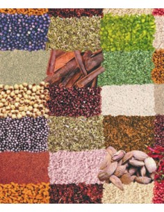 TOVAGLIATO PVC FELPATO MOD. SPEZIE 2