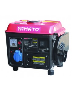 MOTOGENERATORE MOD. G800-2T 2