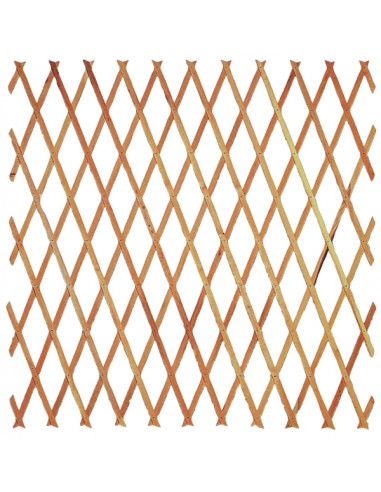 TRALICCIO ESTENSIBILE IN LEGNO VERNICIATO