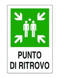 CARTELLO SEGNALETICO "PUNTO DI RITROVO" 2