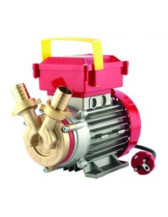 ELETTROPOMPA DA TRAVASO BISENSO 25 CE 2