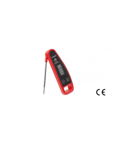 TERMOMETRO DIGITALE PER BARBECUE