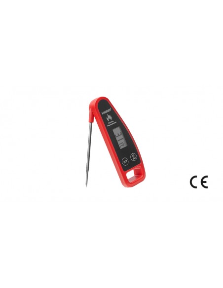 TERMOMETRO DIGITALE PER BARBECUE