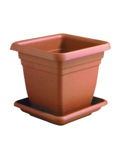 VASO QUADRO CON SOTTOVASO MOD. LAURUS