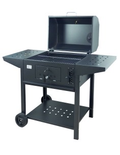 BARBECUE A CARBONE TESEO