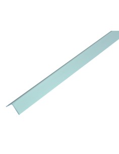 PARASPIGOLO IN PLASTICA