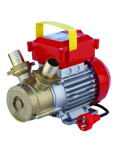 ELETTROPOMPA DA TRAVASO BISENSO 30 CE