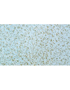 PAVIMENTO PVC - ART WF13007