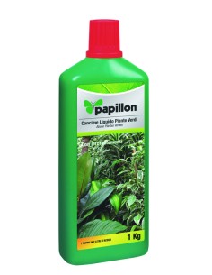 CONCIME LIQUIDO PER PIANTE VERDI