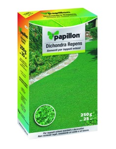 PRATO DICHONDRA REPENS