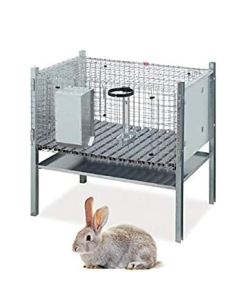 GABBIA PER CONIGLIO MASCHIO - ART.446 2