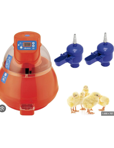 INCUBATRICE COVATUTTO DIGITALE 16L