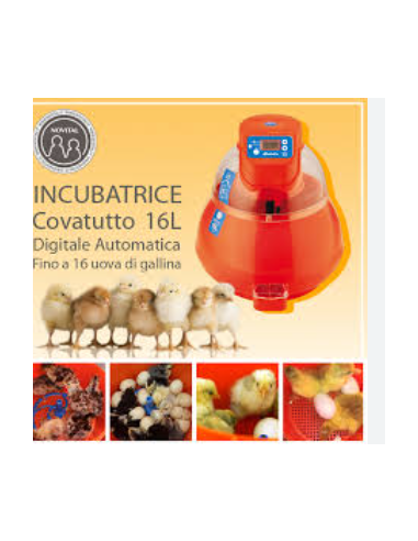 INCUBATRICE COVATUTTO DIGITALE 16L