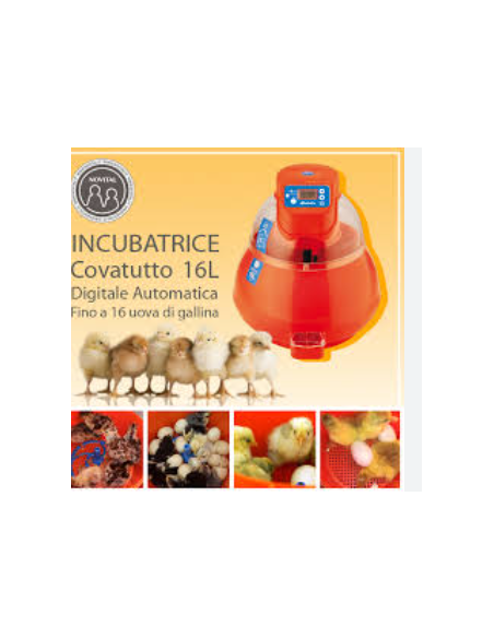 INCUBATRICE COVATUTTO DIGITALE 16L
