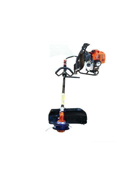 DECESPUGLIATORE A ZAINO PAPILLON DGB 52