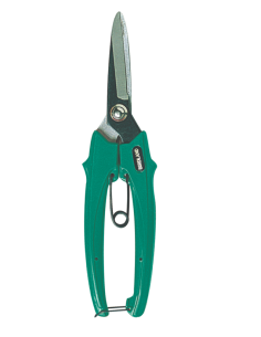 FORBICI COGLIUVA 2