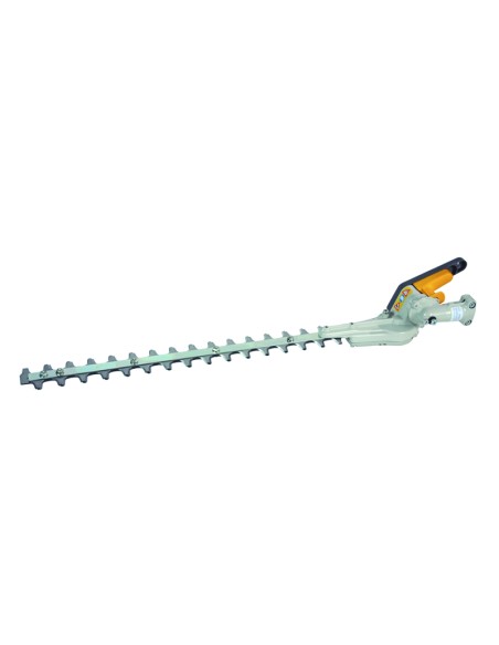 TAGLIASIEPI ACCESSORI PER DECESPUGLIATORE